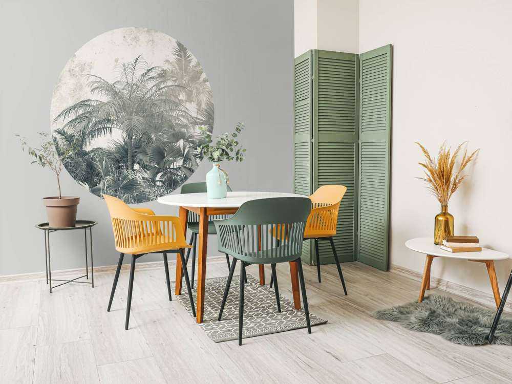 Foresta pluviale mistica