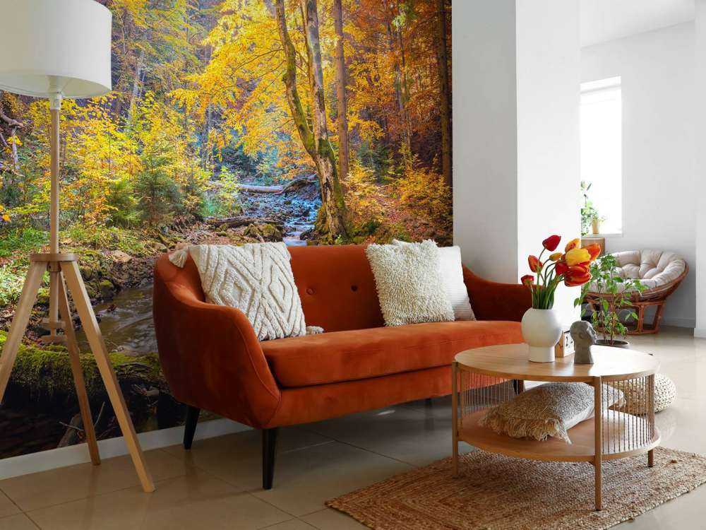 Autunno nella foresta selvaggia