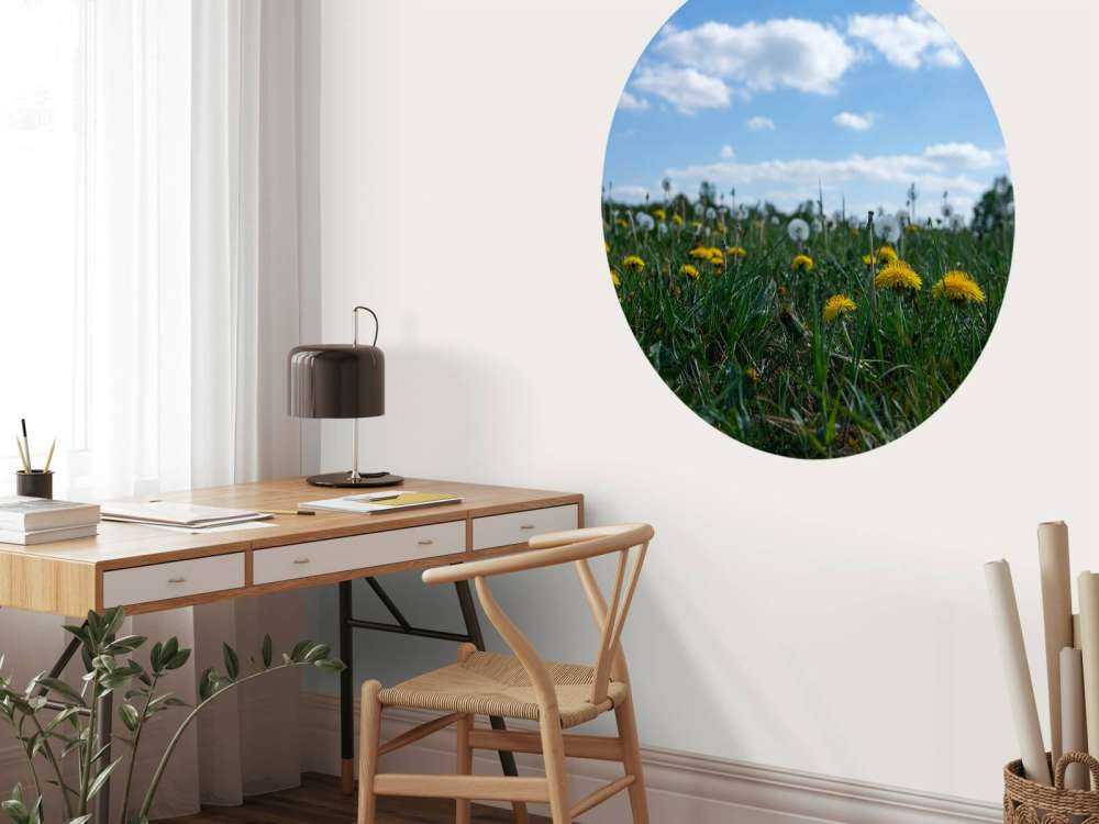 Denti di leone gialli