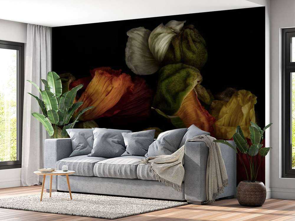 Papaveri ravvicinati