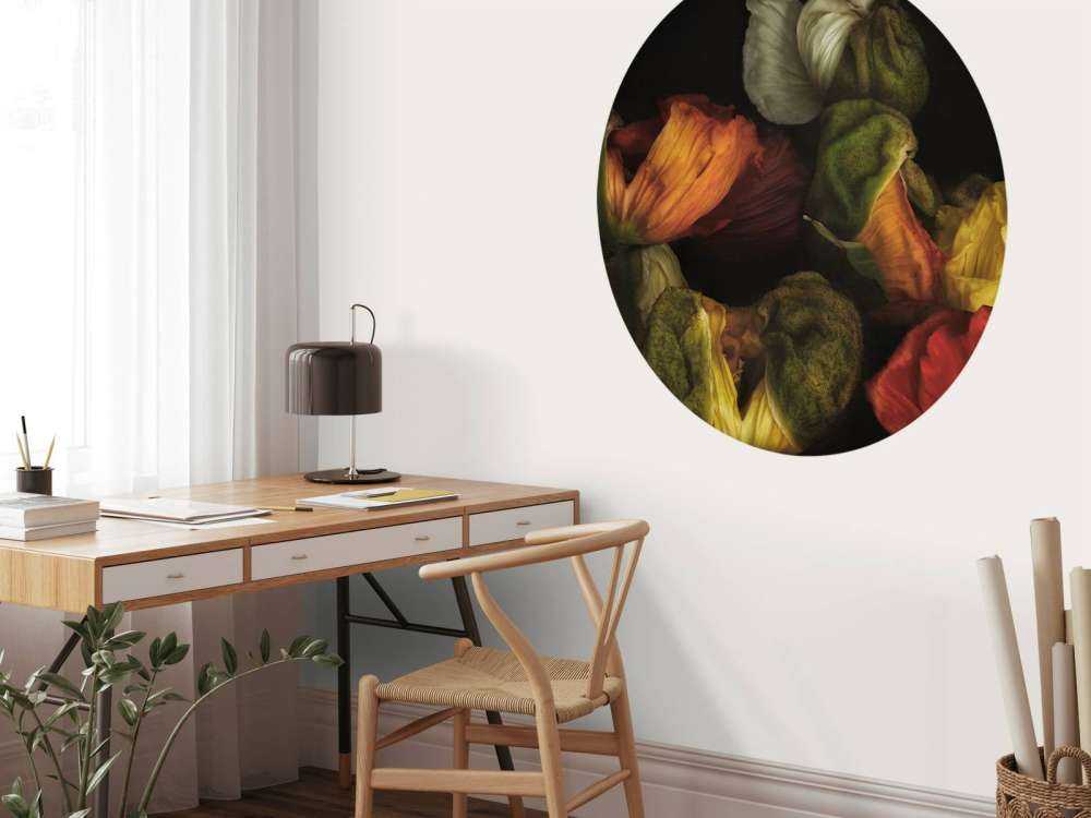 Papaveri compositi in erba