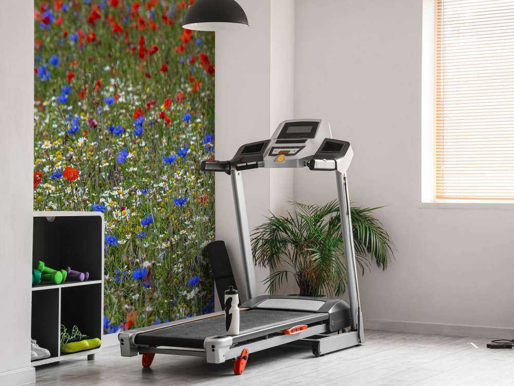 Campo pieno di papaveri