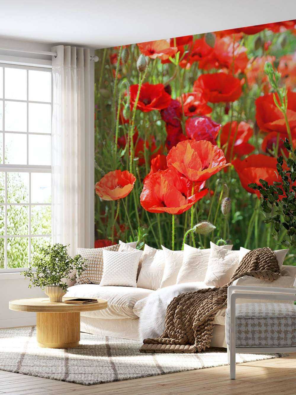 Primo piano di papaveri