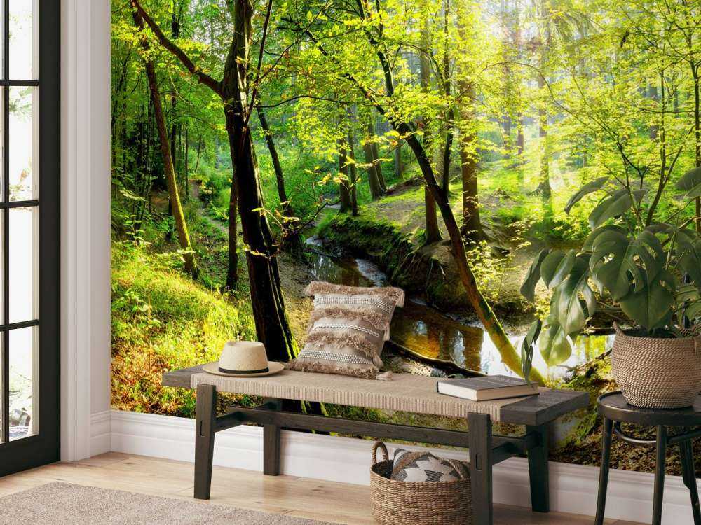 Foresta con un ruscello