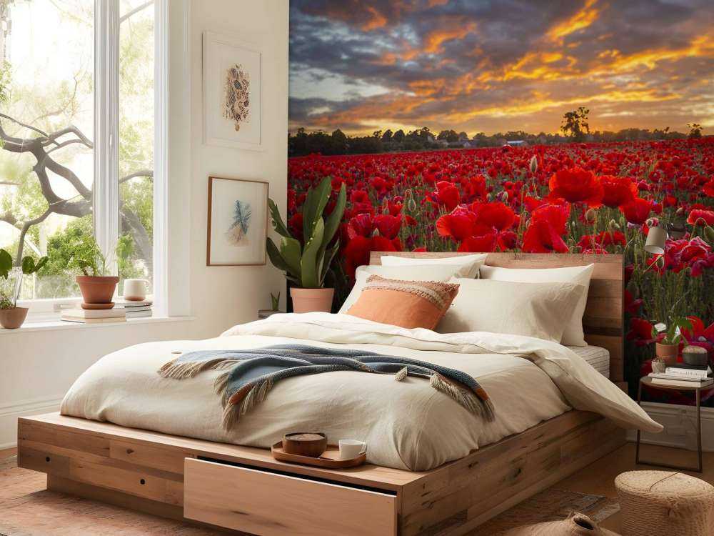 Campo di papaveri con un bel cielo