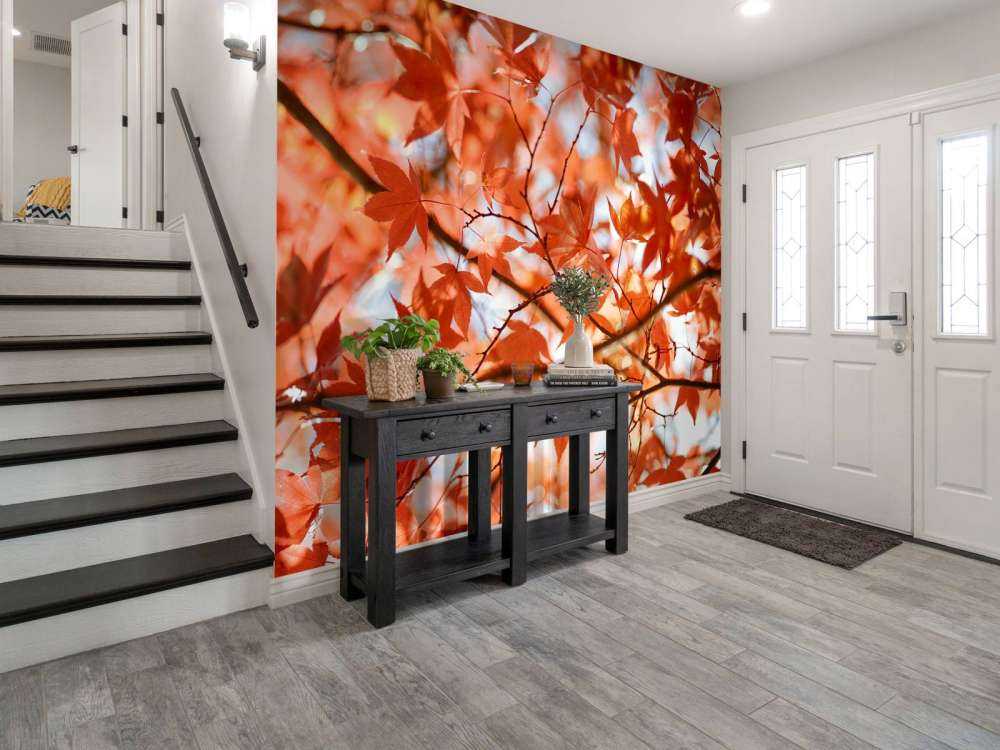 Foglie autunnali colorate