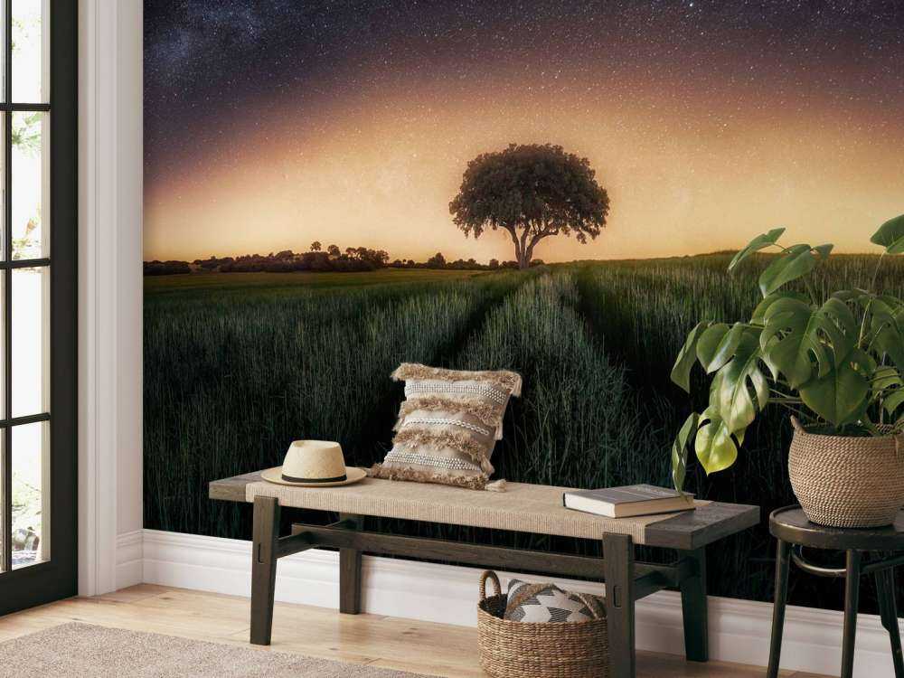 Milky way over lonely tree