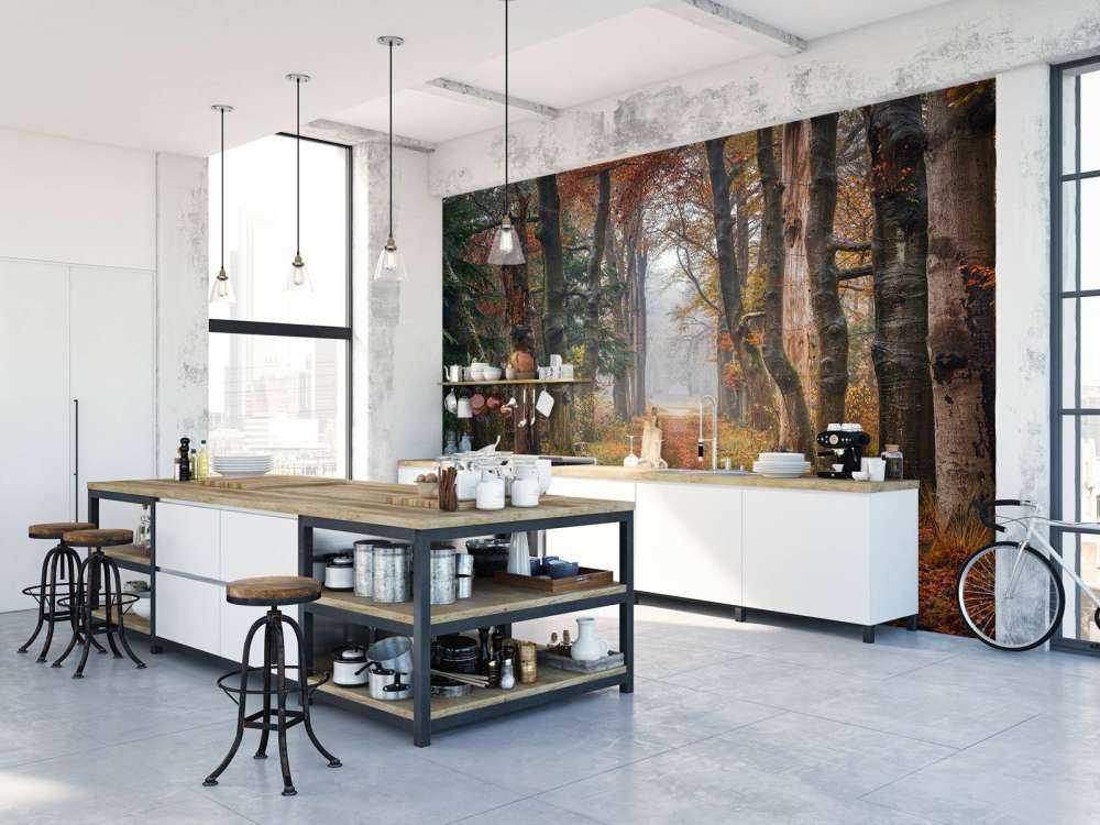 Sentiero forestale con alberi secolari