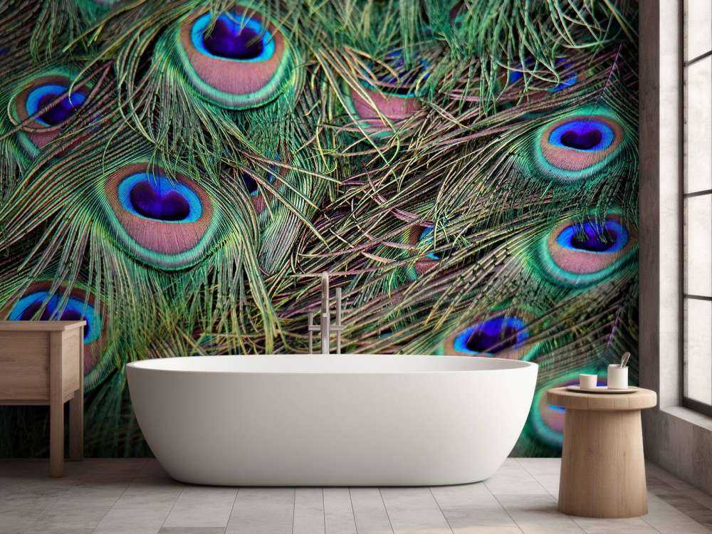 Primo piano di piume pavone