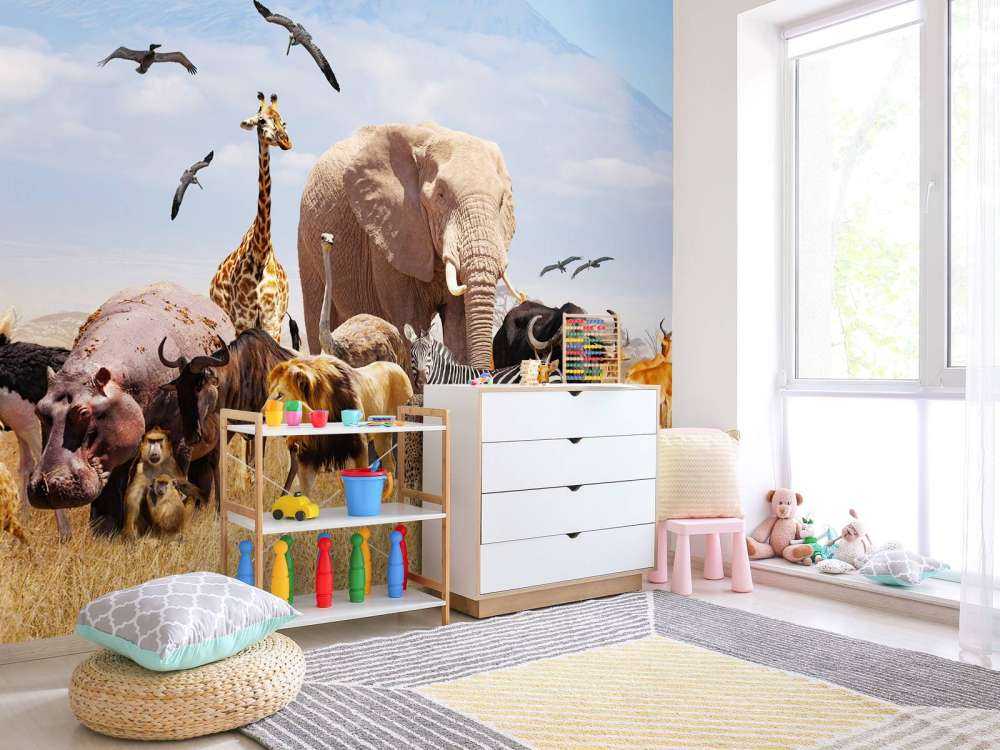 Animali africani sul Kilimangiaro