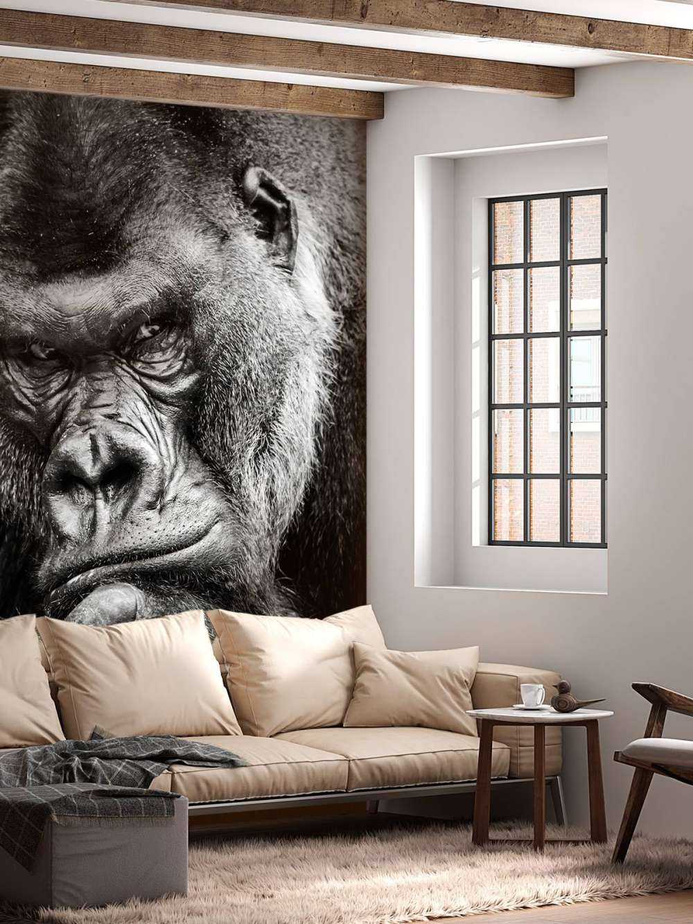 Immagine ravvicinata di un gorilla