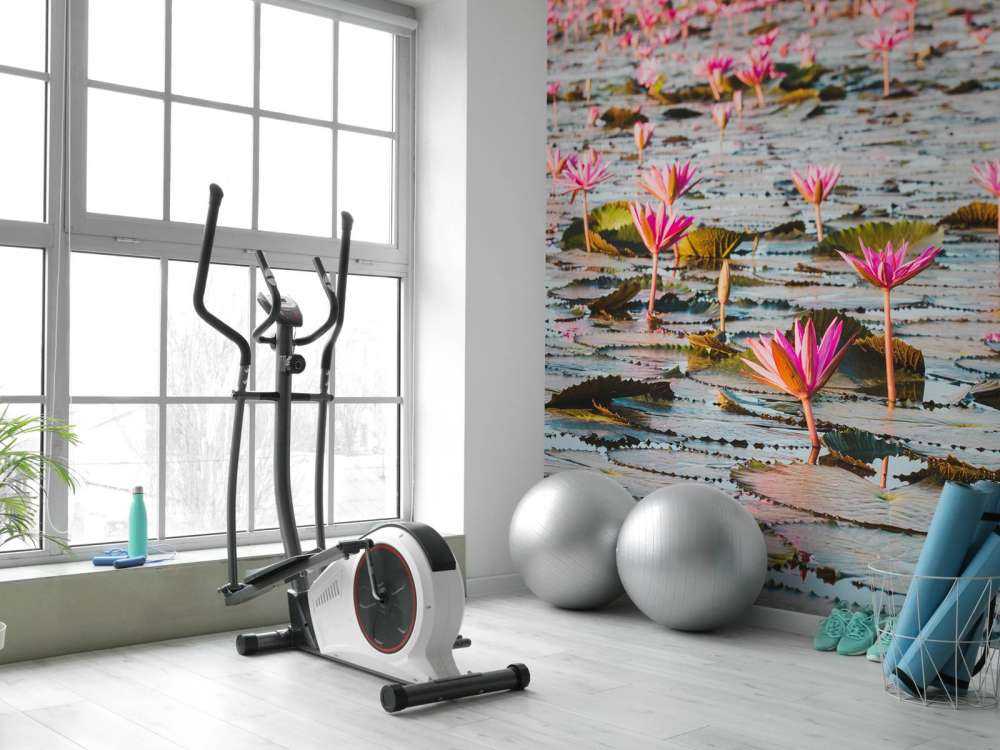 Mare di fiori di loto