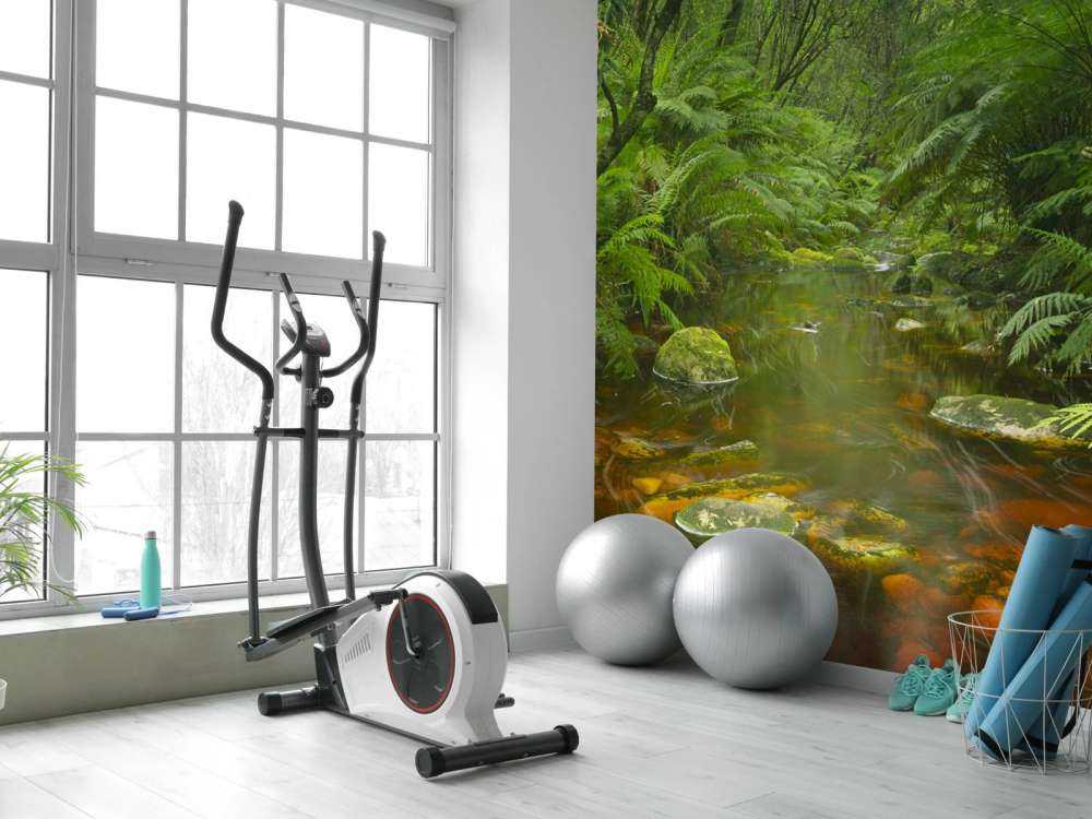 Fiume nella foresta pluviale