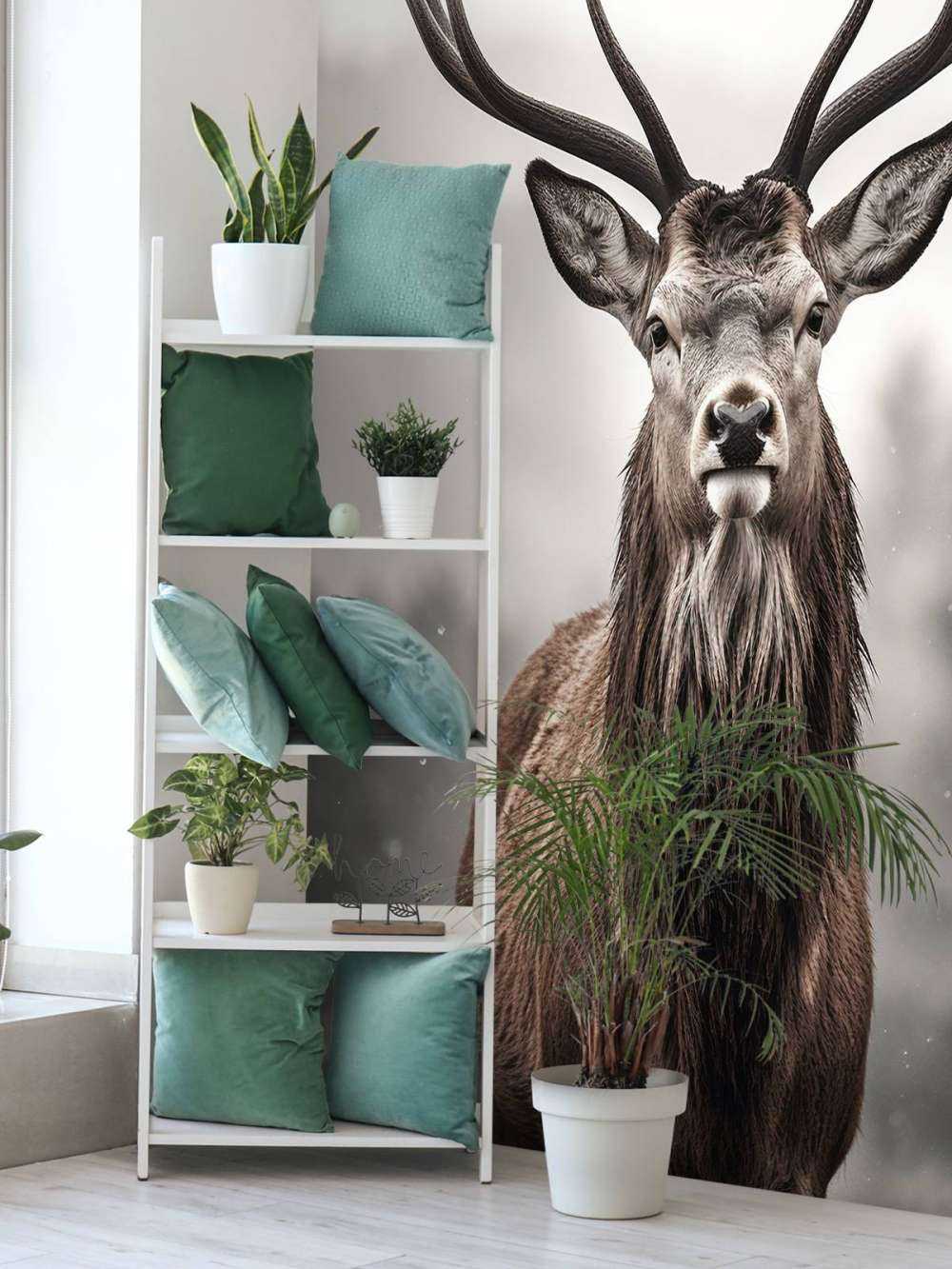 Sguardo del Re d'Inverno Cervo