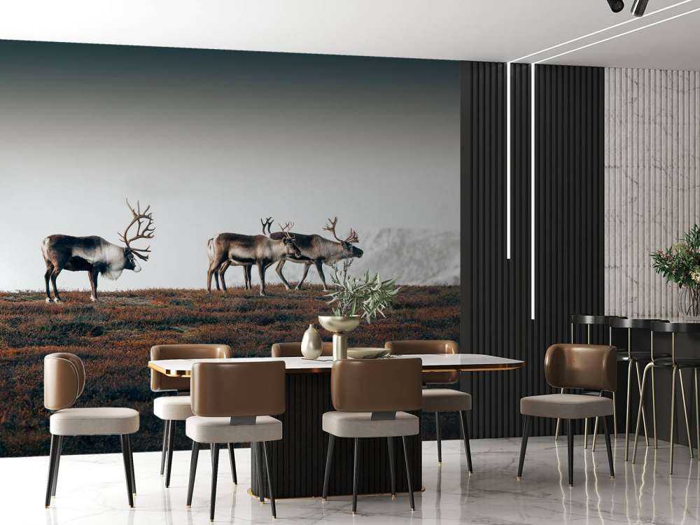 Gruppo di renne nel nord Europa