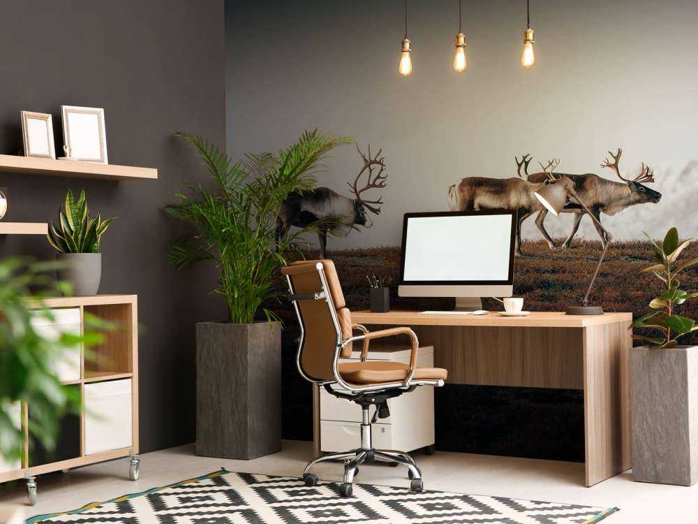 Gruppo di renne nel nord Europa