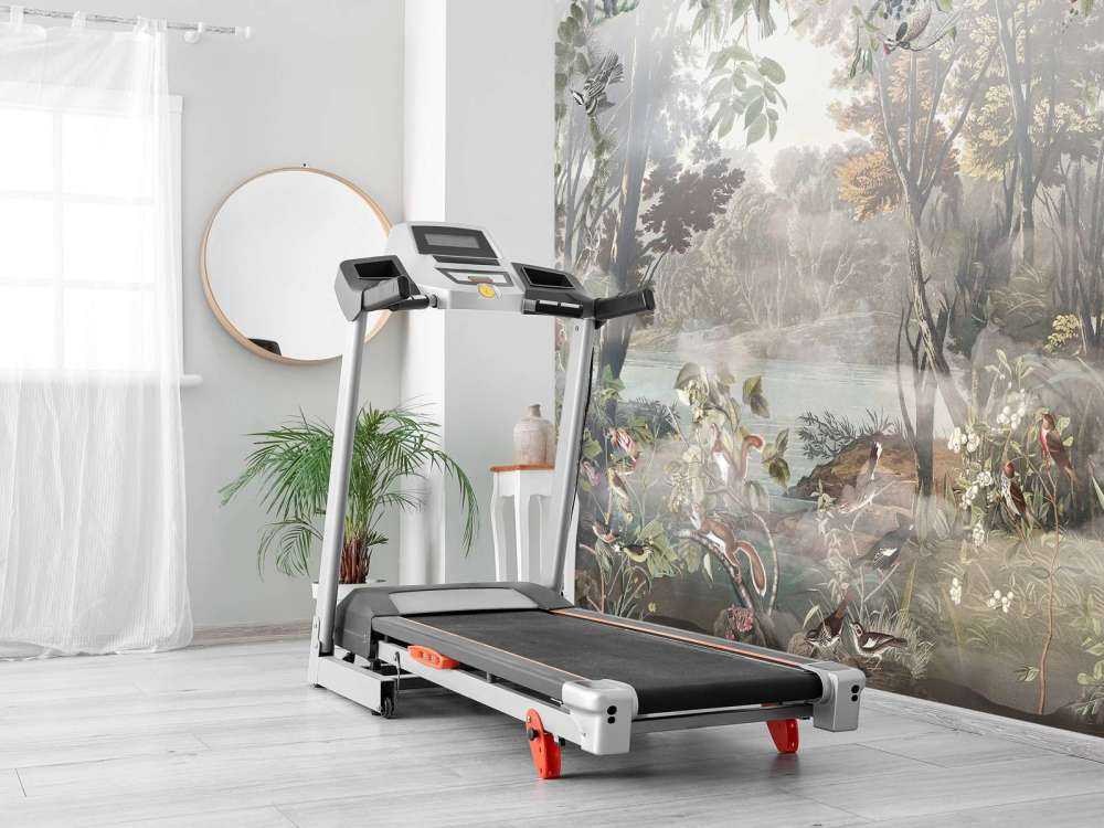 Foresta Mistica Uccelli