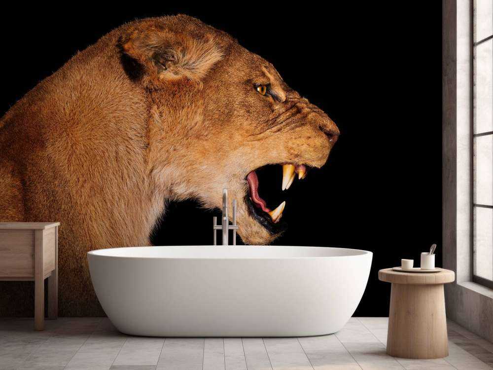 Vista laterale leonessa