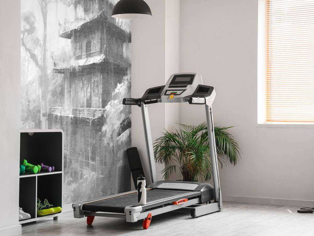 Capanna Nascosta nella Foresta Nebbiosa