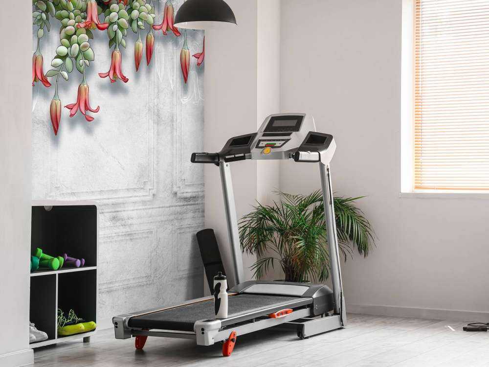 Flores exóticas sobre hormigón