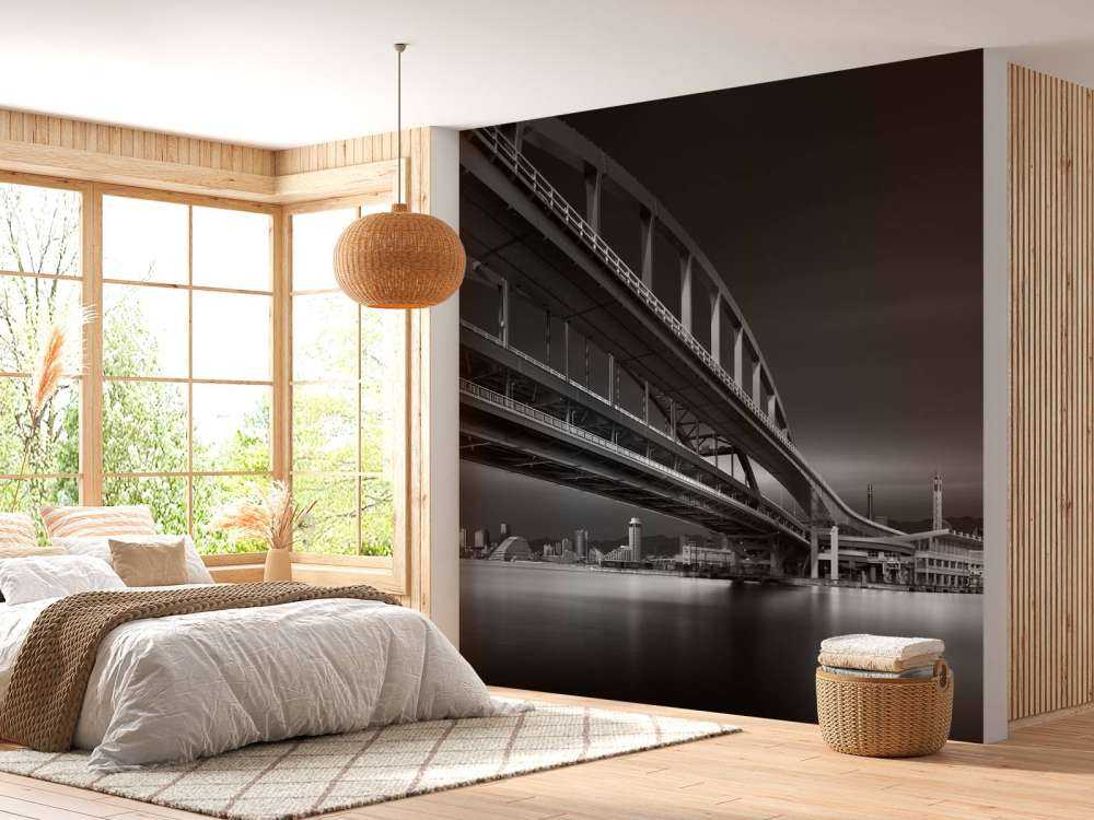 The Land of Coonectons 1: Over the Rainbow