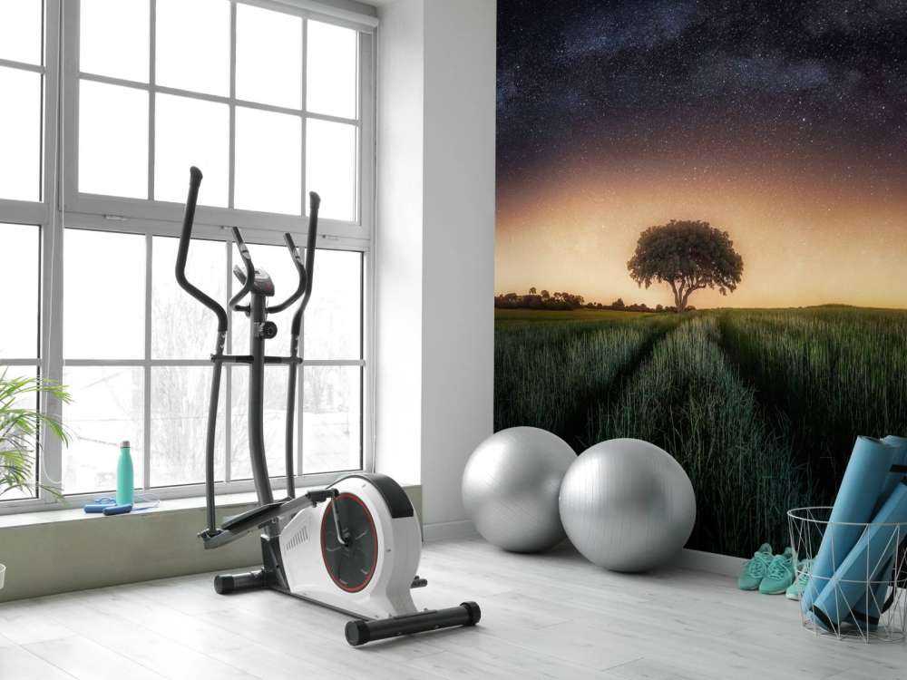 Milky way over lonely tree