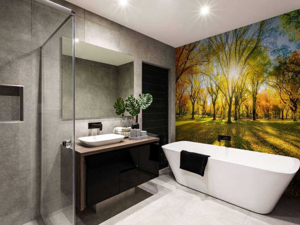 Foresta autunnale colorata