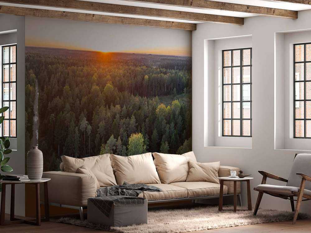 Foto aerea di alberi autunnali