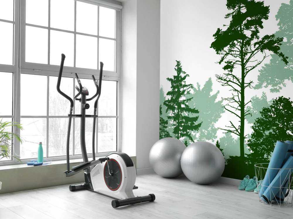 Foresta verde di conifere