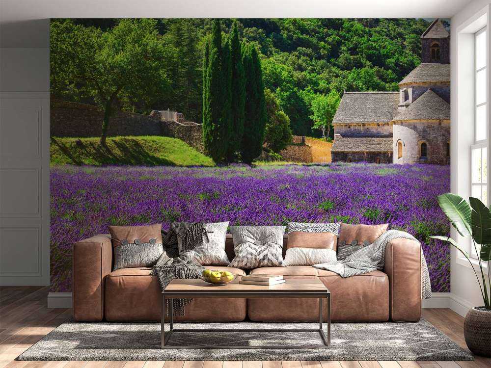 Campo di lavanda fata