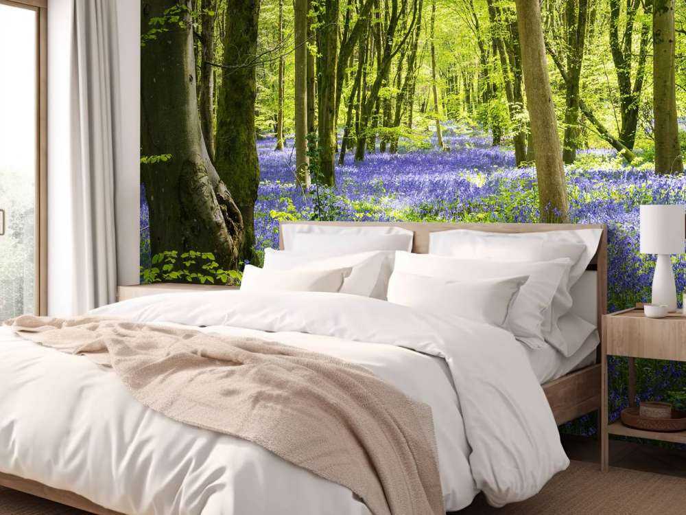 Foresta alla luce del sole