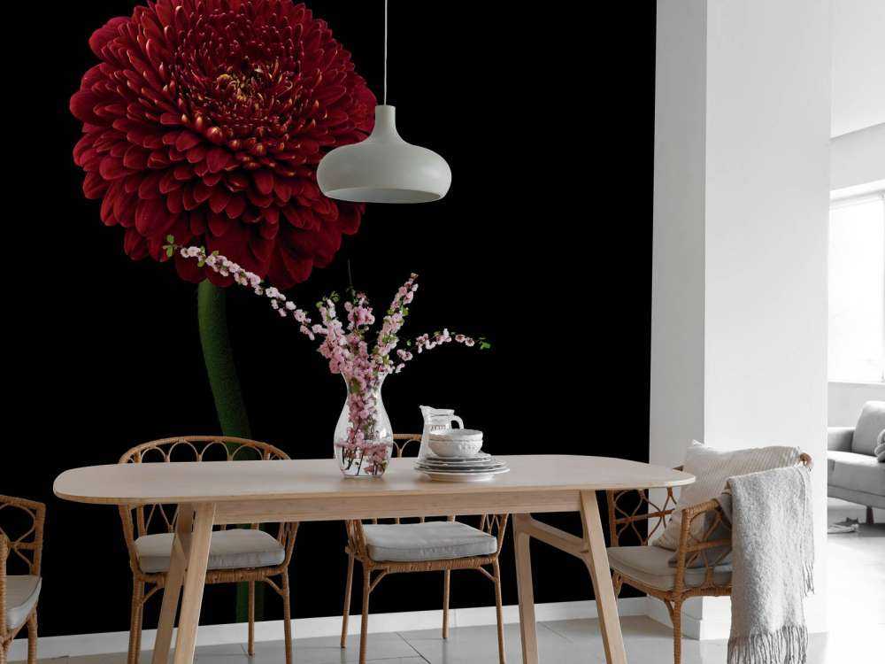 Fiore rosso su stelo