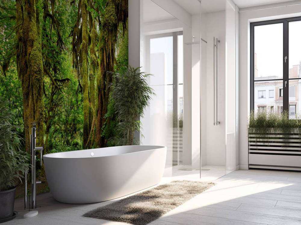 Vecchia foresta selvaggia