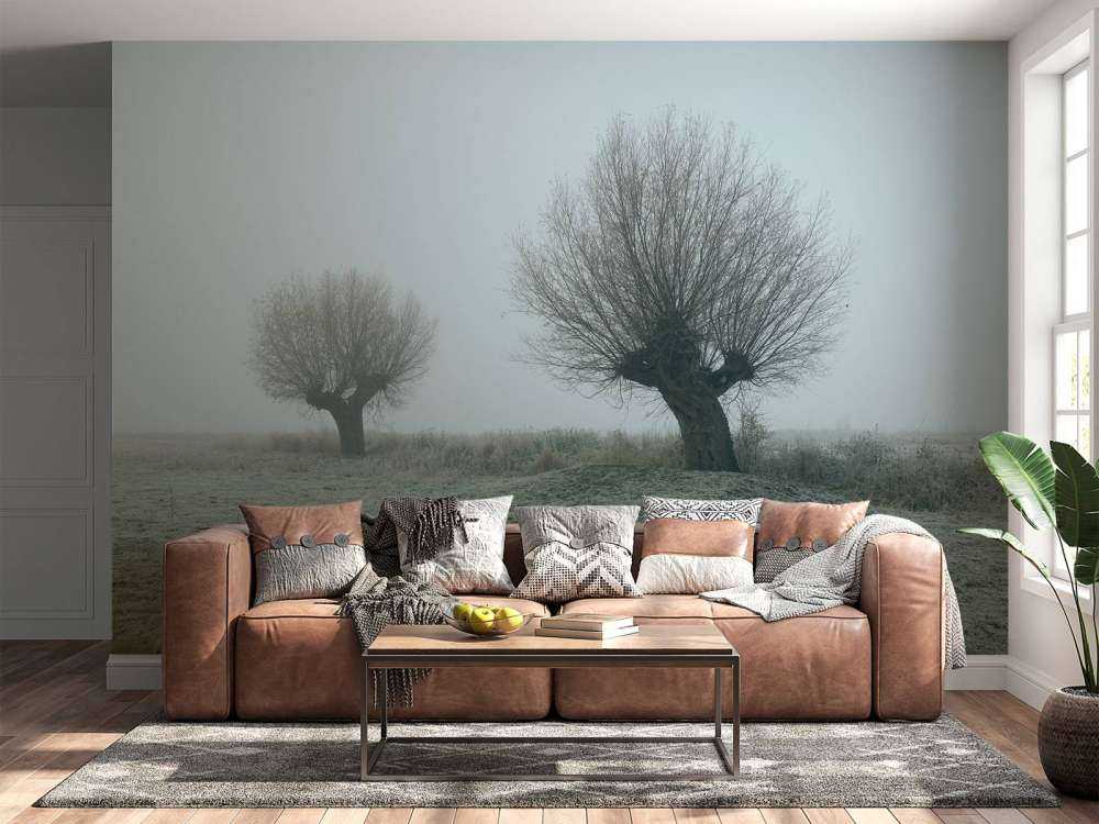 Salici di Pollard nella nebbia