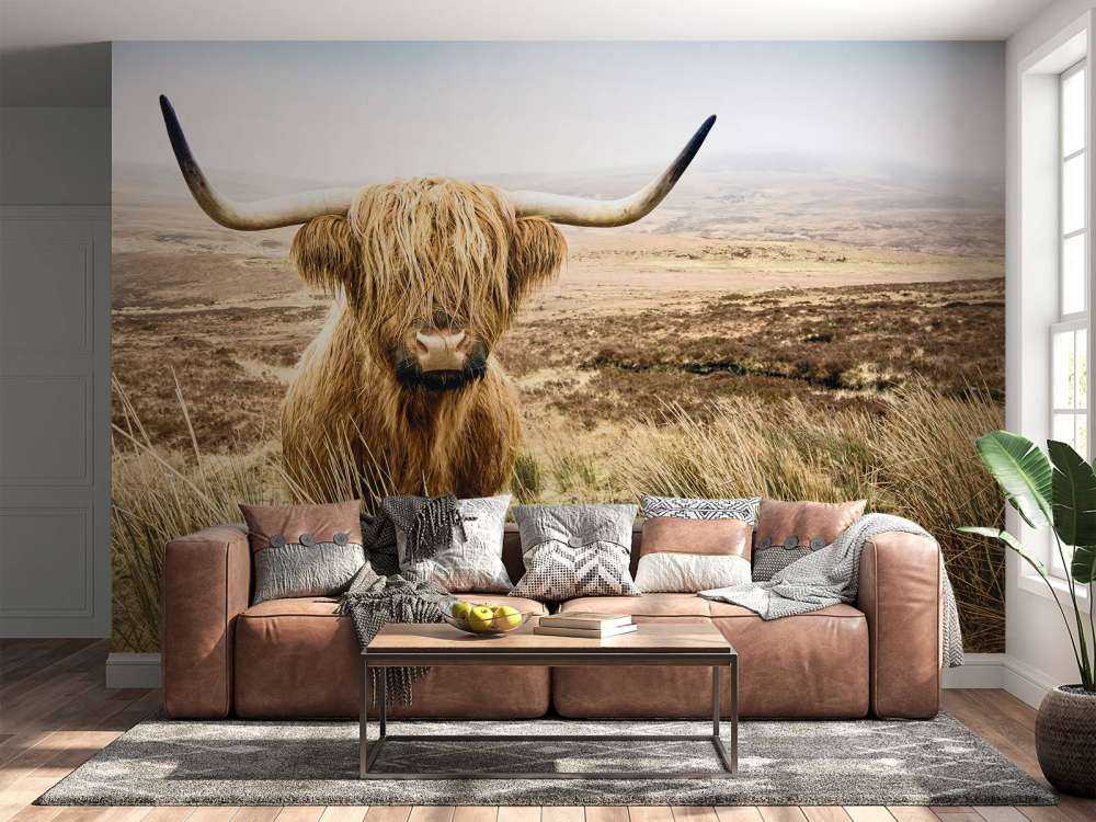 Highlander scozzese con canna