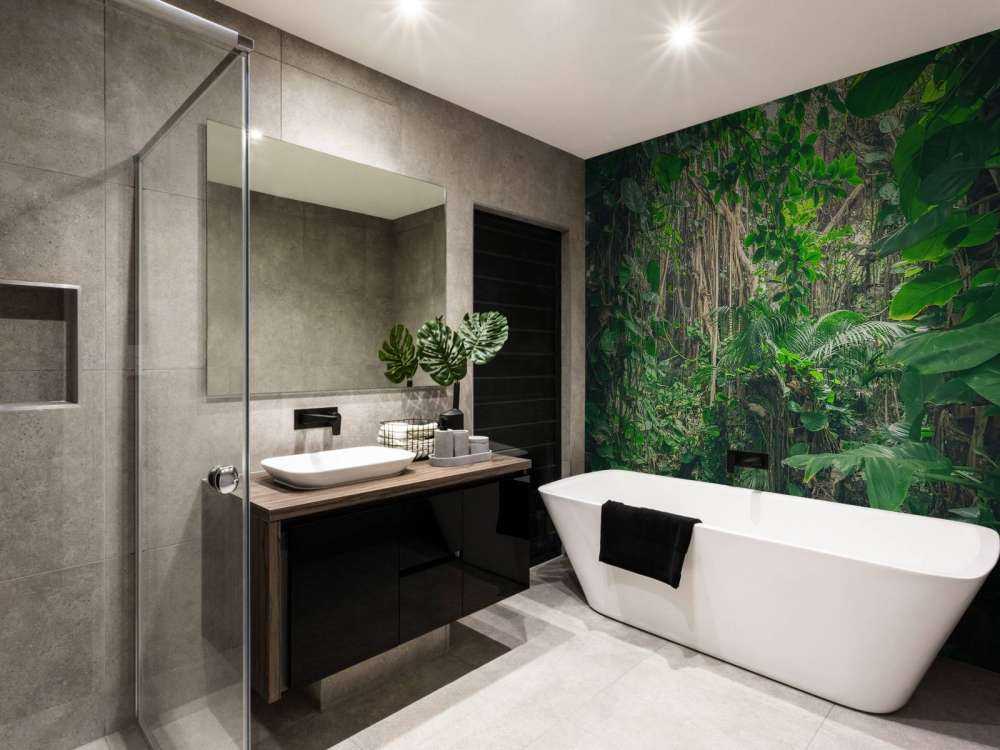 Rami nella foresta pluviale