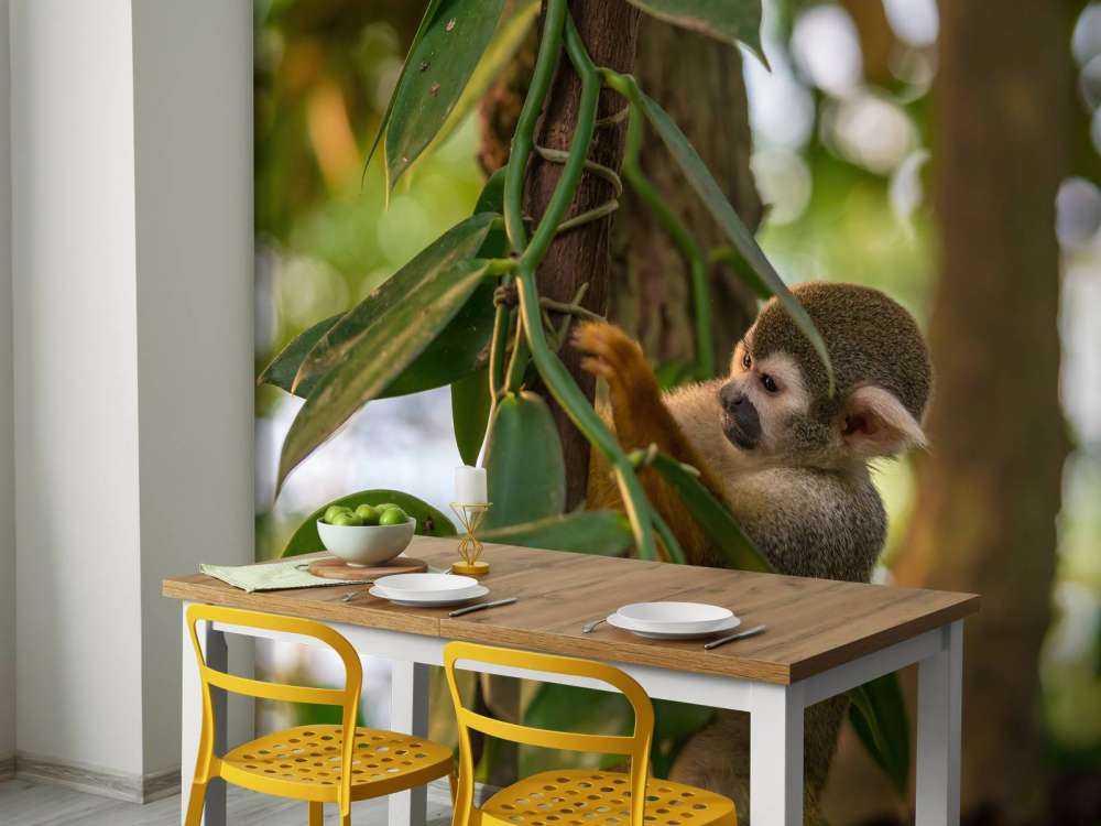 Piccola scimmia tra gli alberi