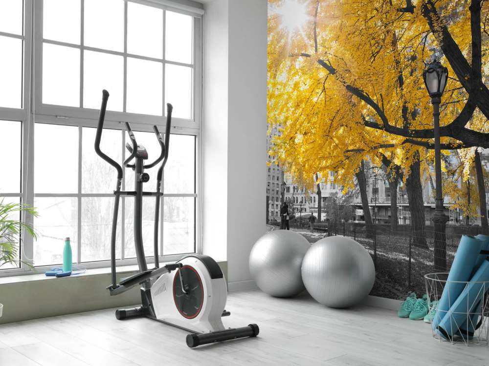 Un sentiero attraverso Central Park