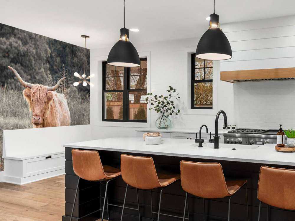 Highlander scozzese in un campo