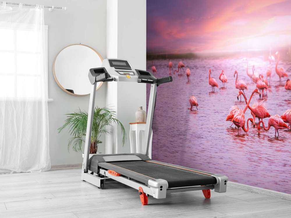 Fenicottero con tramonto