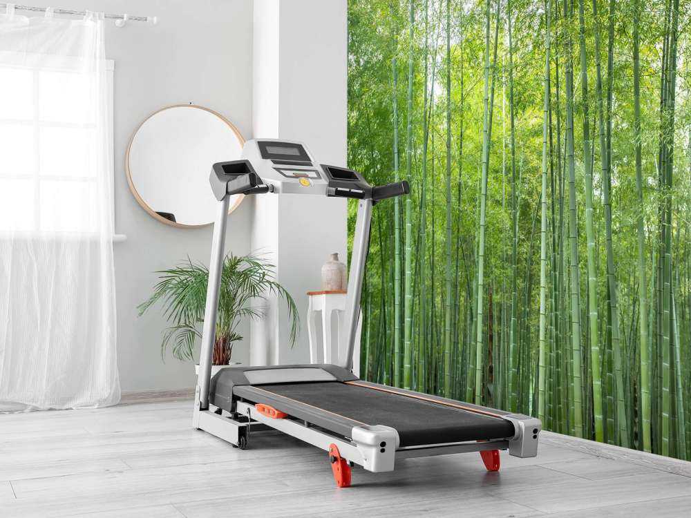 Foresta di bambù verde