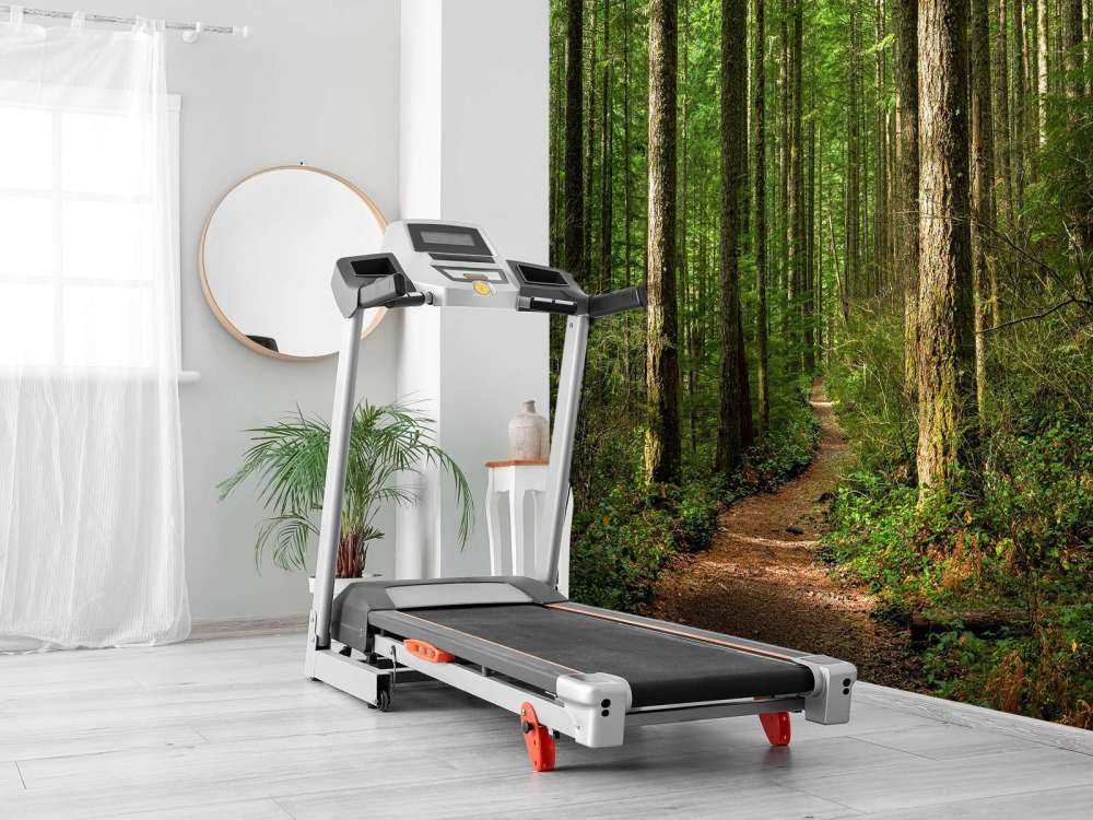 Sentiero nella foresta