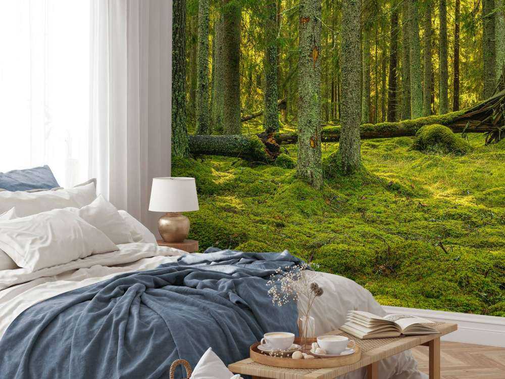 Foresta di pini verdi