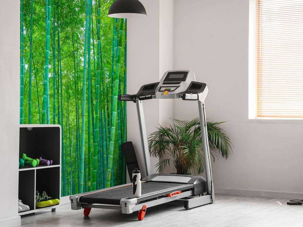 Una verde foresta di bambù