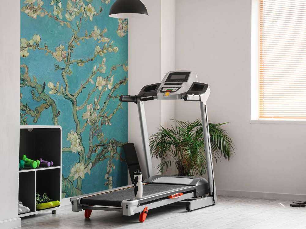 Mandorlo in fiore dipinto (Van Gogh)