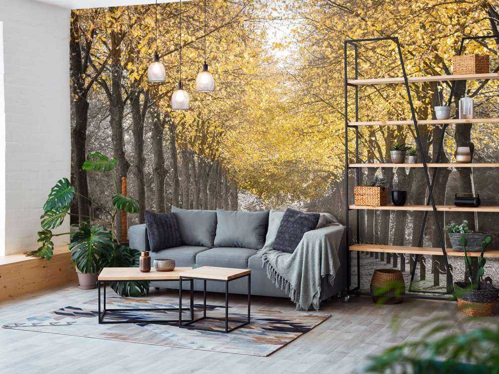 Sentiero tra gli alberi