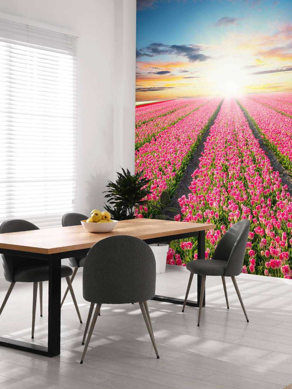 Tulipani con il sole nascente