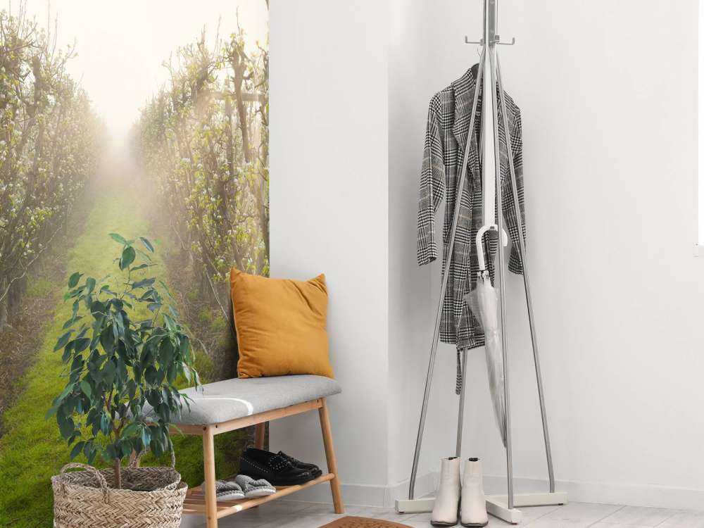 Fiori di pero nella nebbia