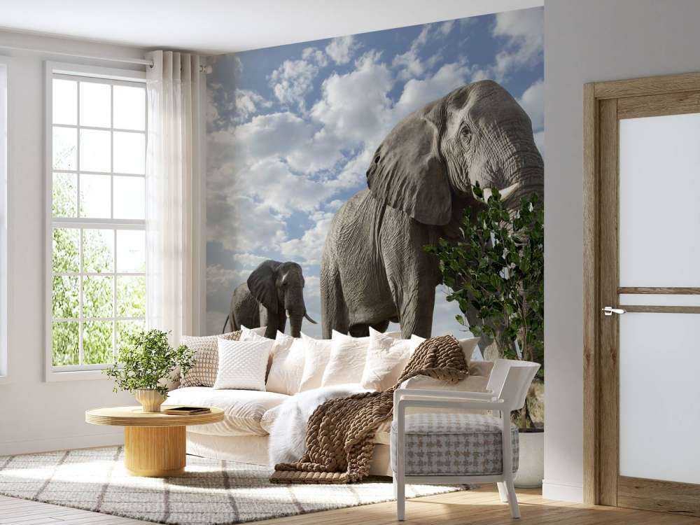 Elefanti di passaggio