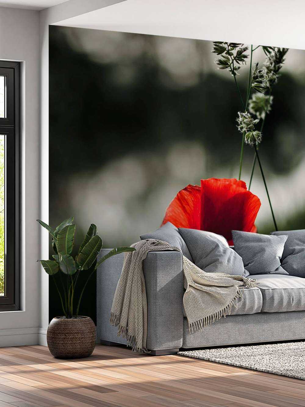 Papavero rosso con erba